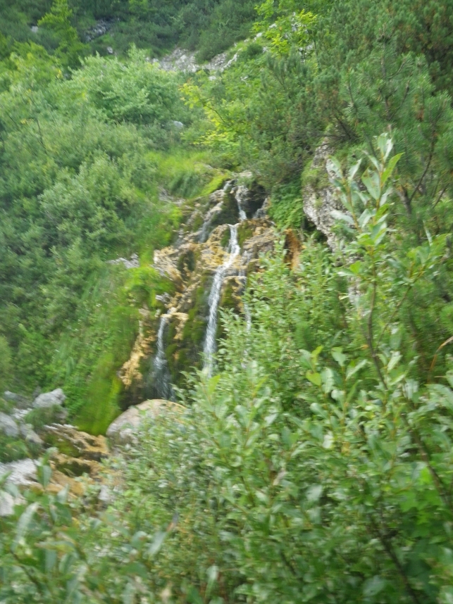Slika