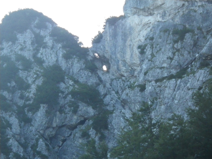 Slika