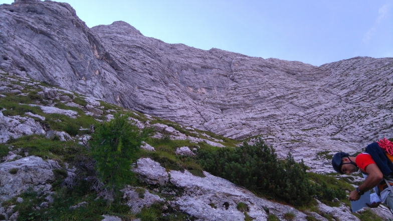 Slika