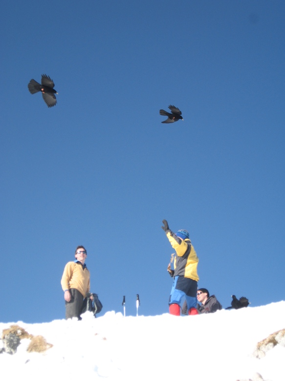 Slika