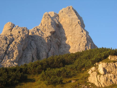 Slika