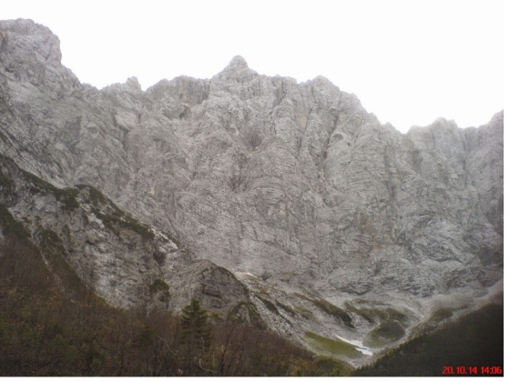 Slika