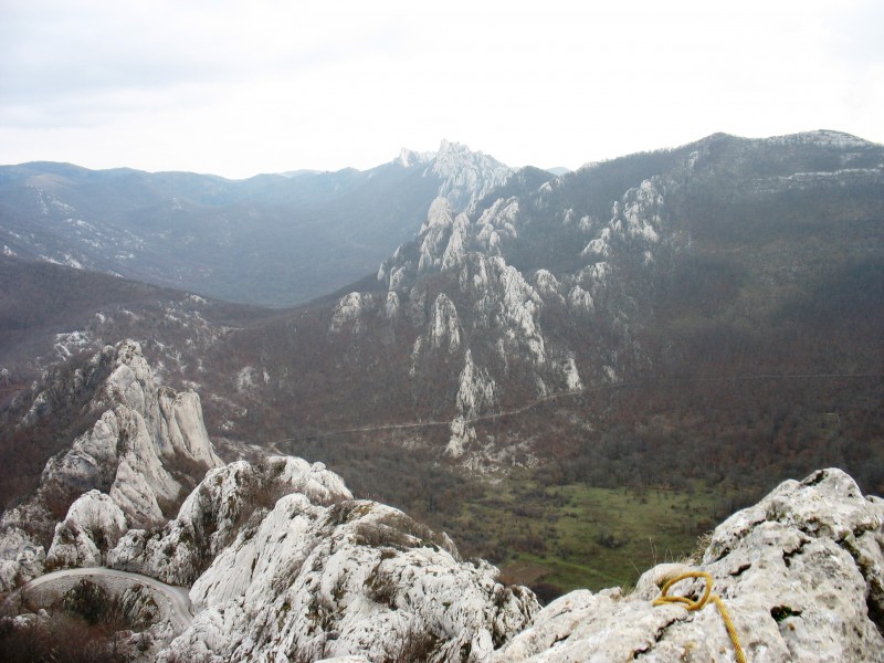 Slika