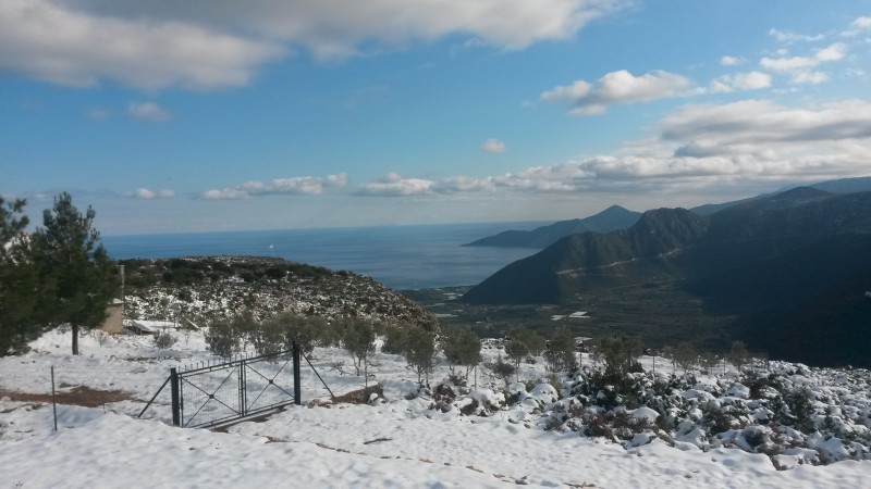 Slika