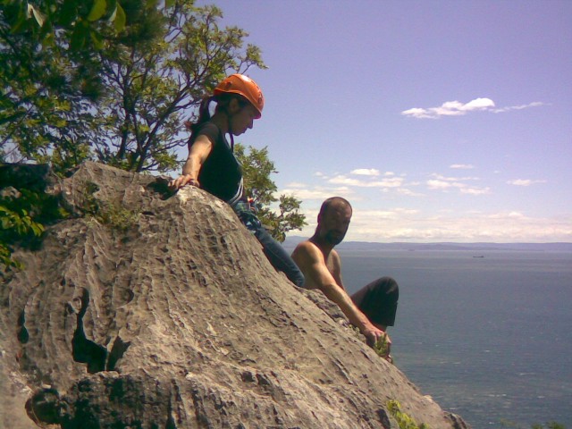 Slika
