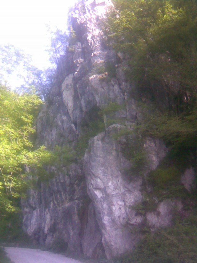 Slika