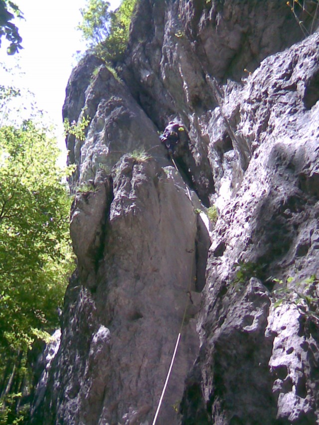 Slika
