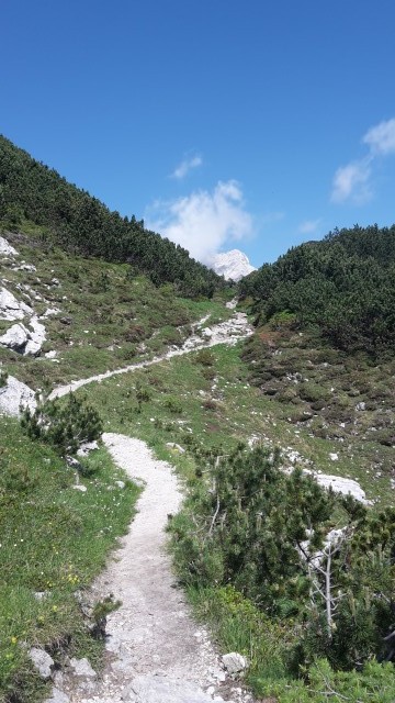 Slika