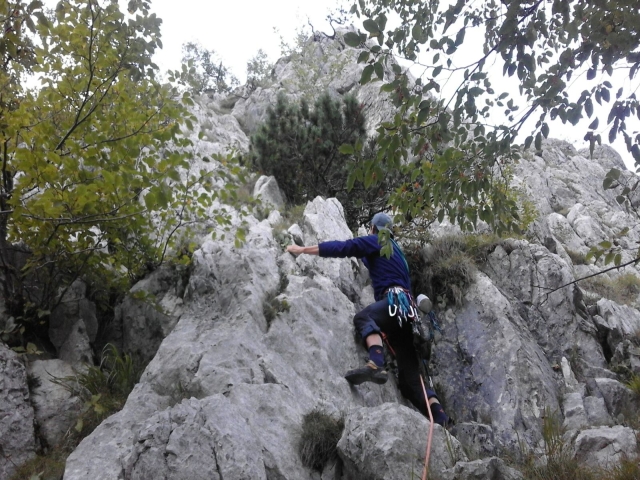 Slika