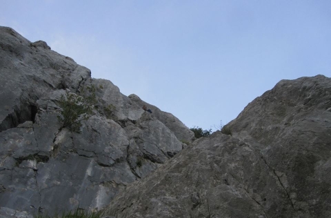 Slika