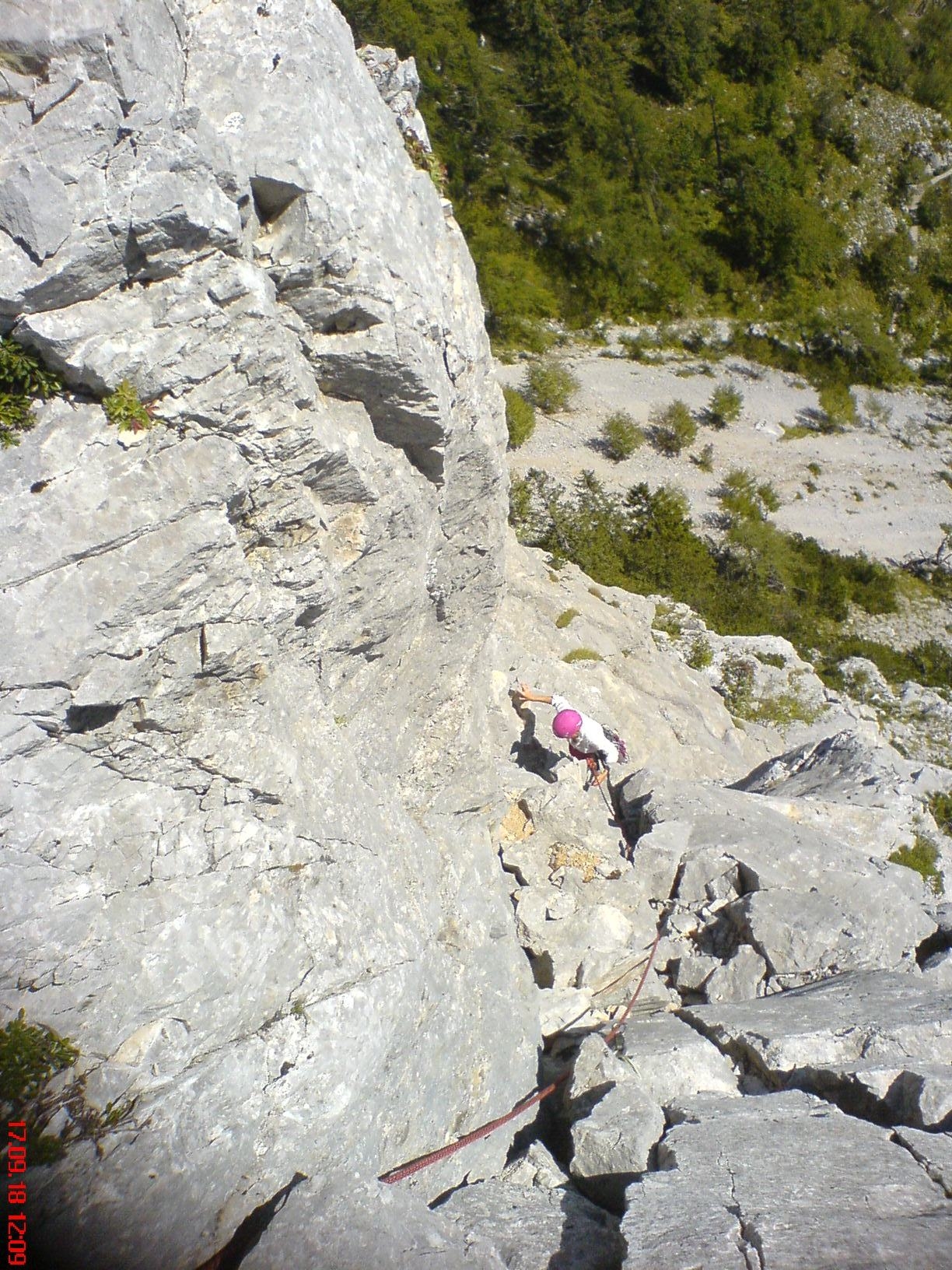 Slika