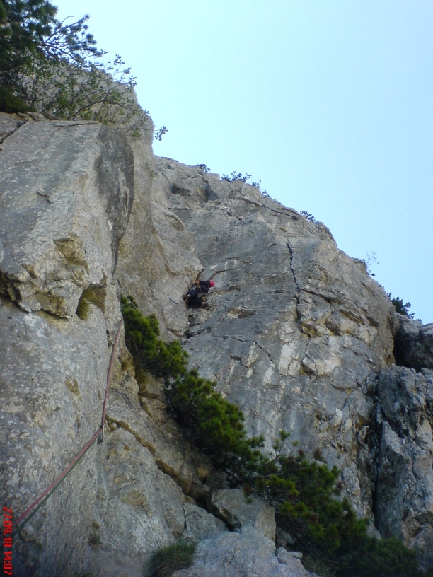 Slika